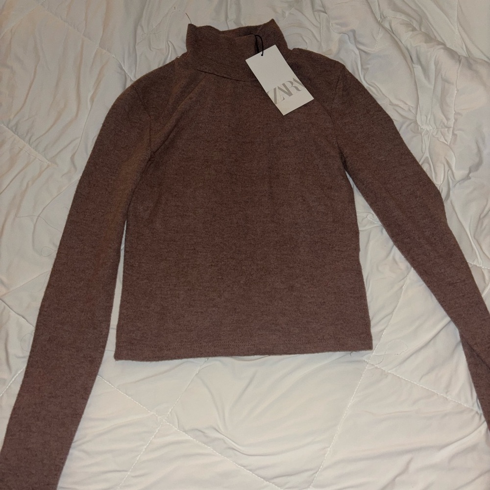 Zara Taupe Knit Turtleneck Sweater